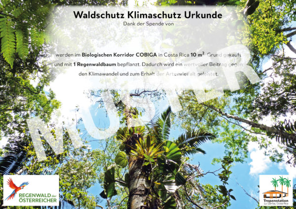 Waldschutz-Klimaschutz Urkunden – Bild 2