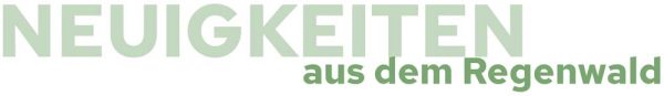 Neuigkeiten aus dem Regenwald