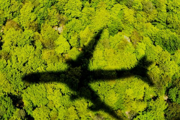 Spende für den Regenwald der Österreicher